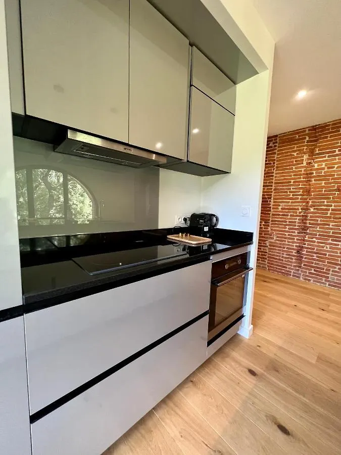 Le Moulin De La Flambere Apartment Toulouse France
